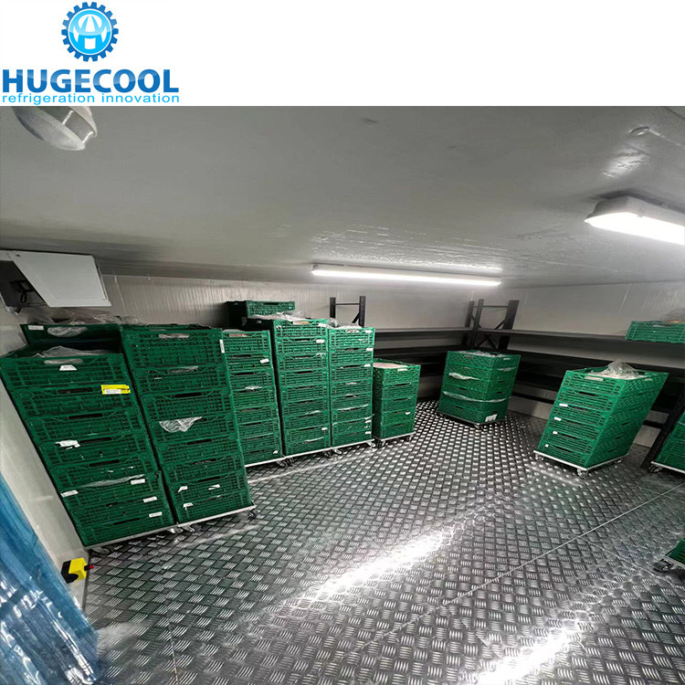 Commercial walk in cooler bread cold room for shop