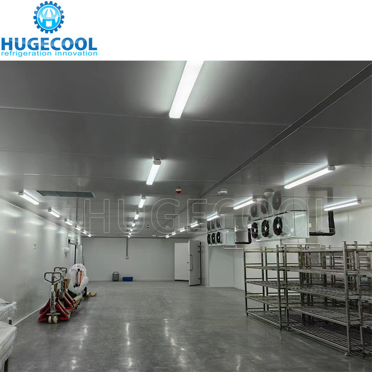 Seafood Cold Storage Walk In Freezer Meat Ice Cream Freezer Room