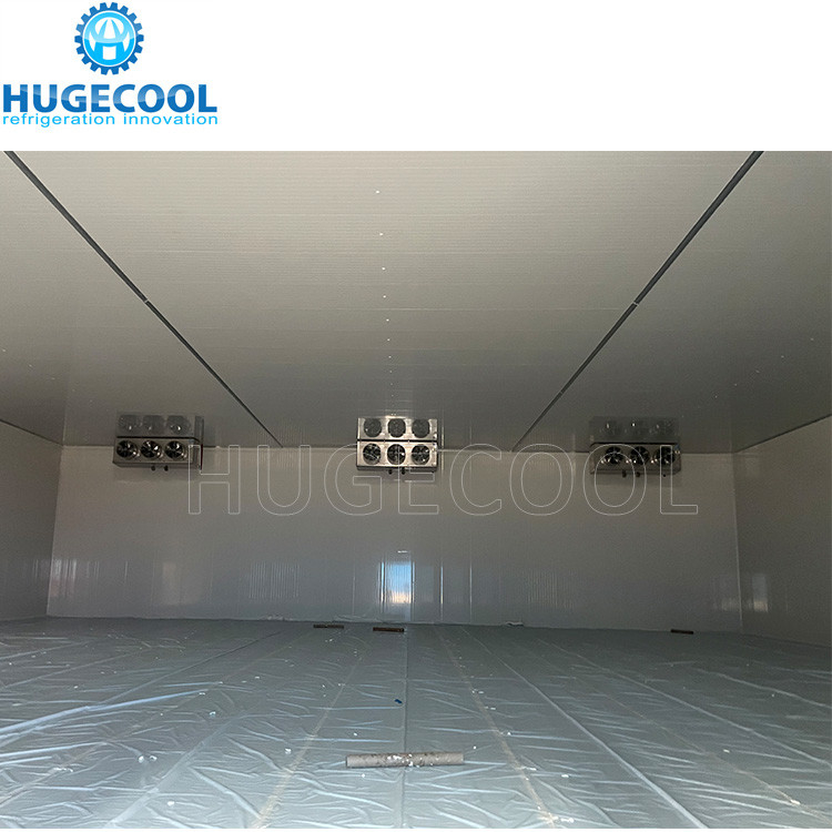 Seafood Cold Storage Walk In Freezer Meat Ice Cream Freezer Room