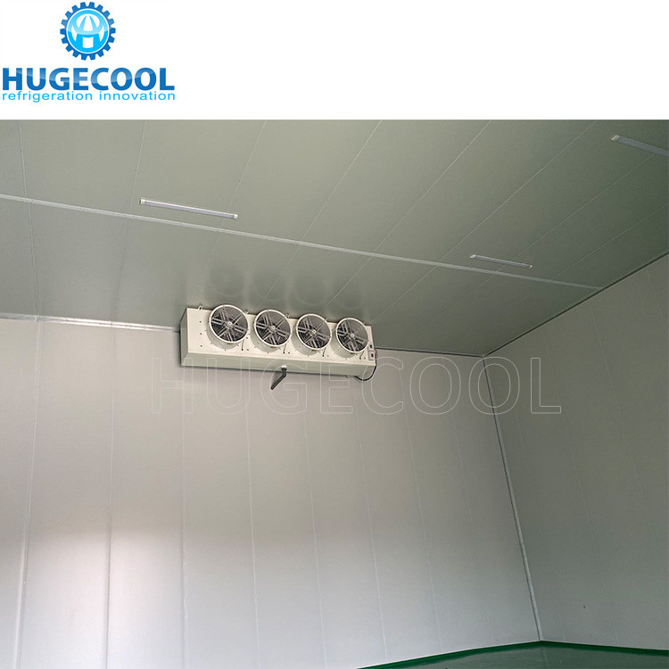 Seafood Cold Storage Walk In Freezer Meat Ice Cream Freezer Room