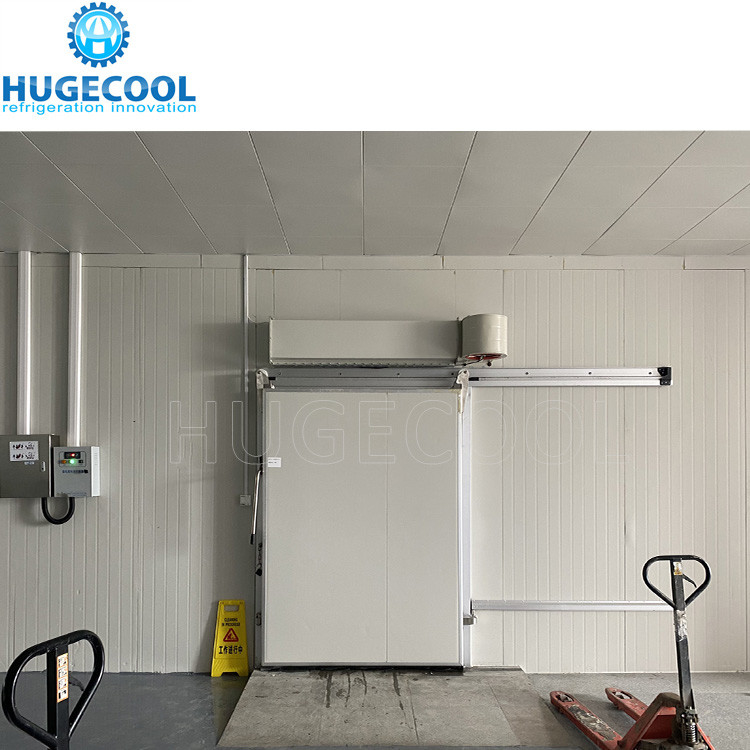 Walk In Freezer Cold Room For Seafood Meat Storage With Famous Compressor