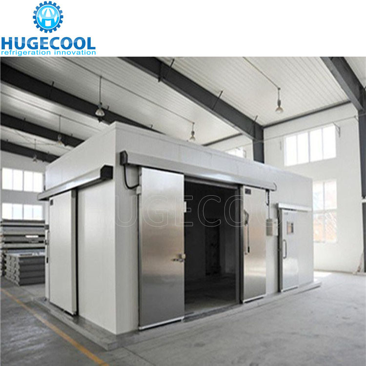 Color Steel Cold Room Sliding Door Walk In Freezer Door