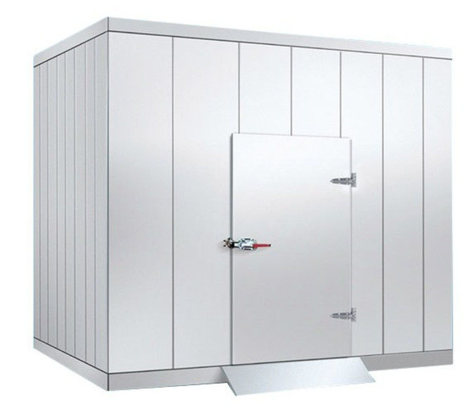 Maximize Your Storage Efficiency with Refrigerator Cold Storage and Hinged Door