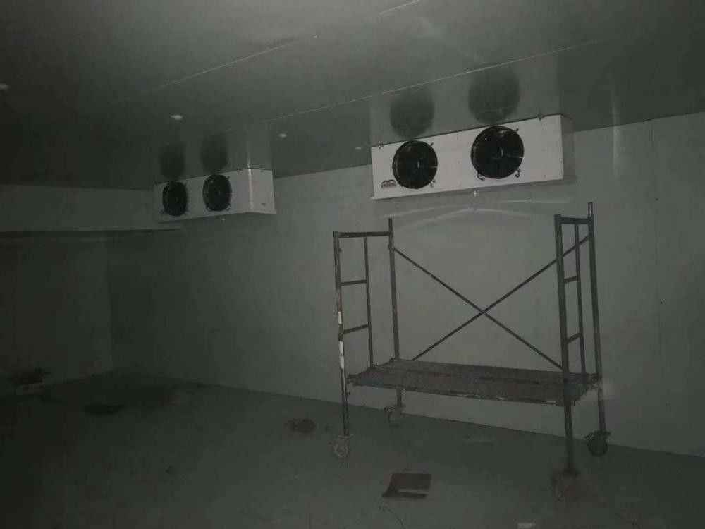 150kg/m3 Panel Density Freezer Cold Room with 50mm To 250mm Thickness and Digital Temperature Controller