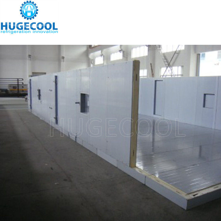 Full Automatic System Chill Storage Cellar Cold Storage Room Freezer Room Industrial Refrigeration Solutions for Commercial